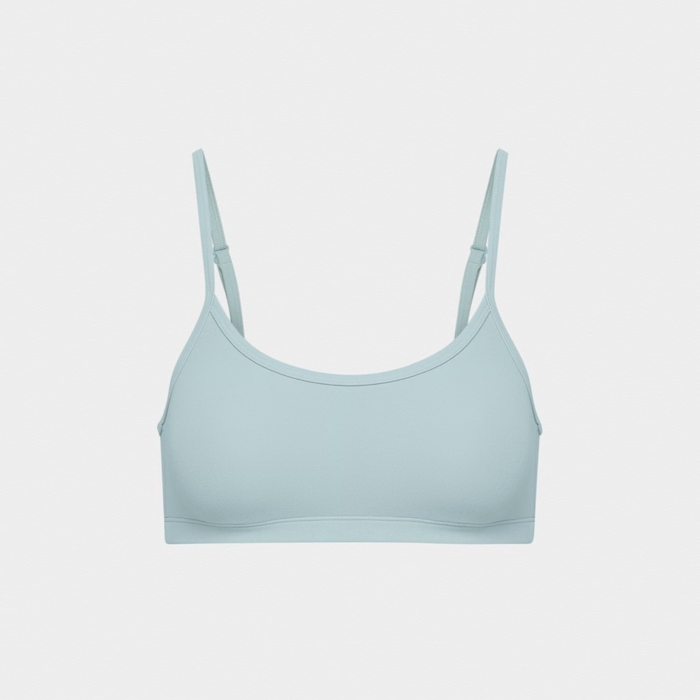 aritzia Light Blue Sports Bra